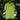 A neon yellow-green short-sleeve t-shirt hanging on a green plastic hanger from a tree branch outdoors, surrounded by lush green leaves.