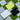 STROLLING SS26 | TONAL LOGO - WHITE